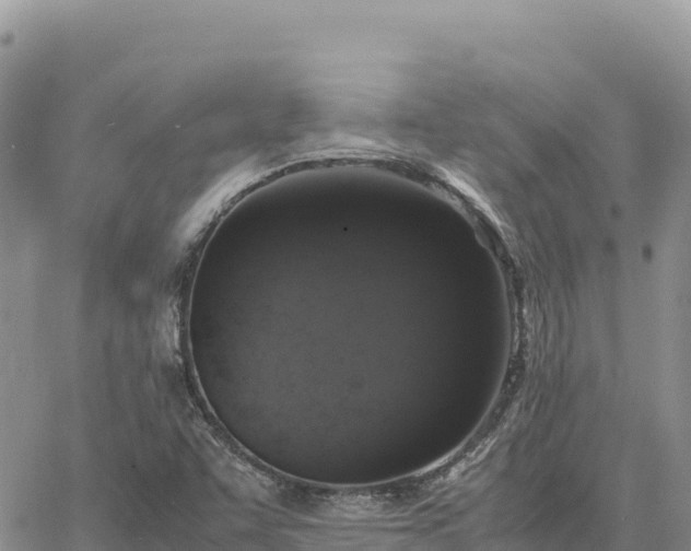 X0000064771455200602171812