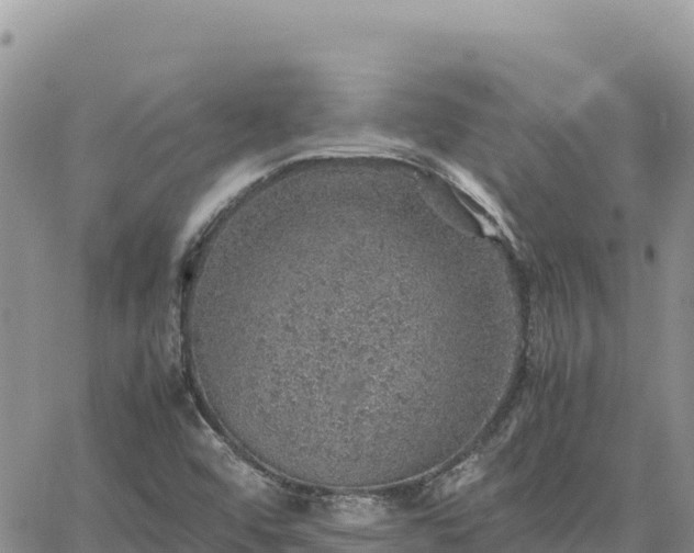 X0000064771456200602171812