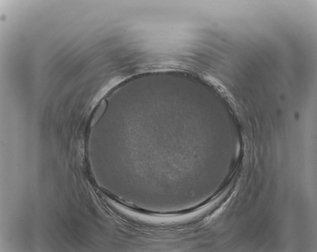 X0000064771457200602171812