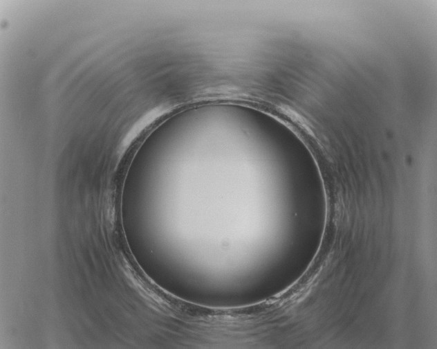 X0000064771458200602171812