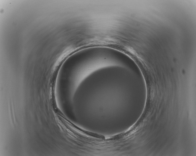 X0000064771459200602171812