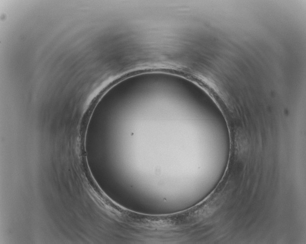 X0000064771460200602171812