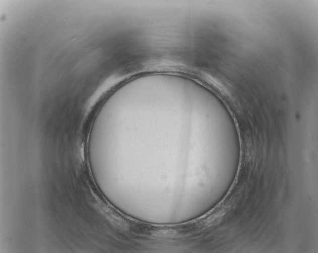 X0000064771462200602171812