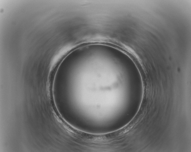 X0000064771464200602171812