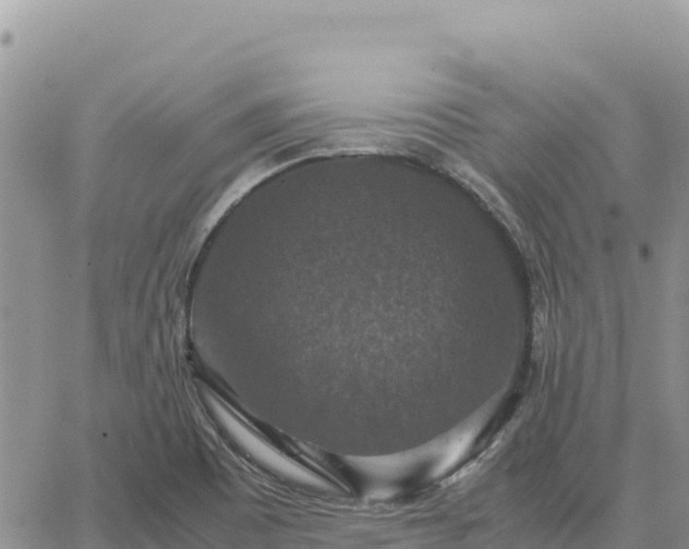 X0000064771465200602171812