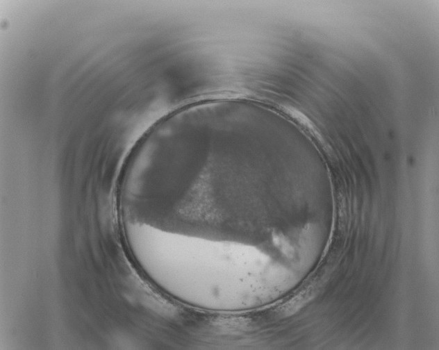 X0000064771466200602171812