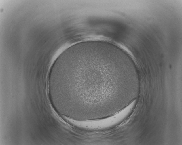 X0000064771467200602171812