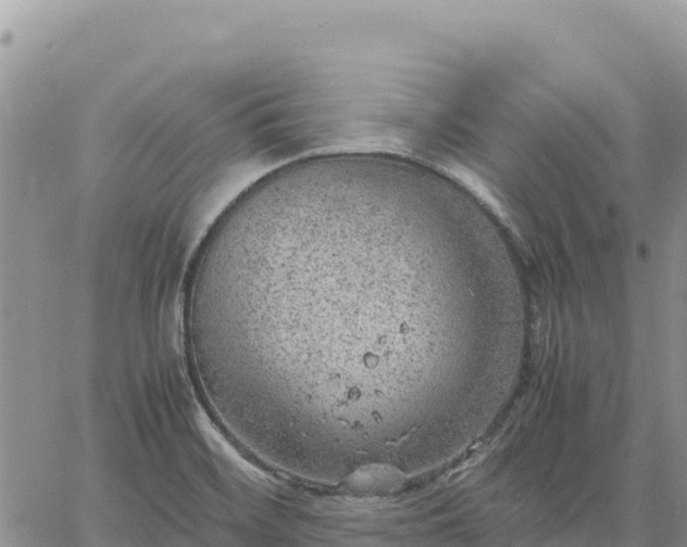 X0000064771468200602171812