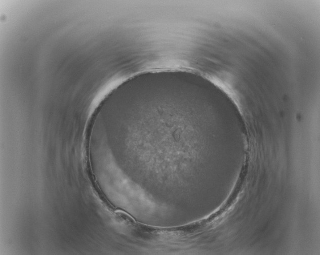 X0000064771469200602171812