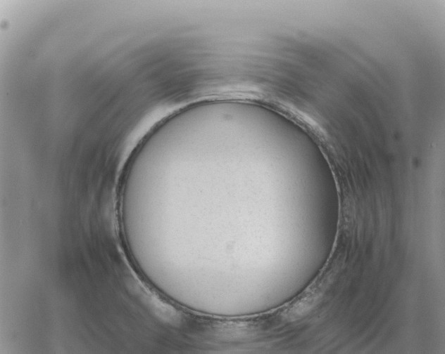 X0000064771470200602171812