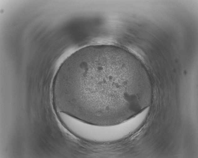 X0000064771471200602171812