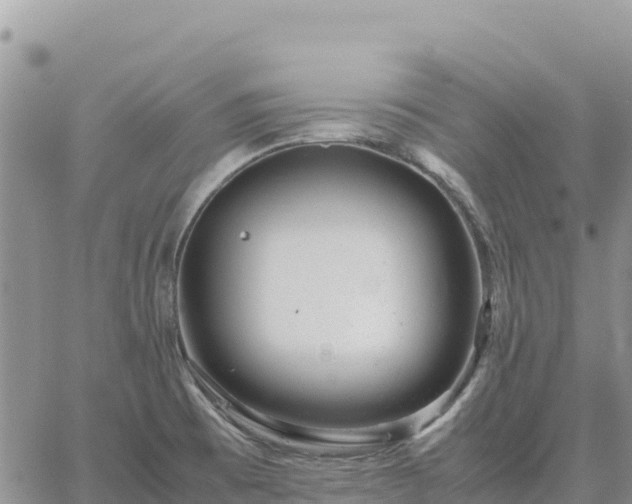 X0000064771473200602171812