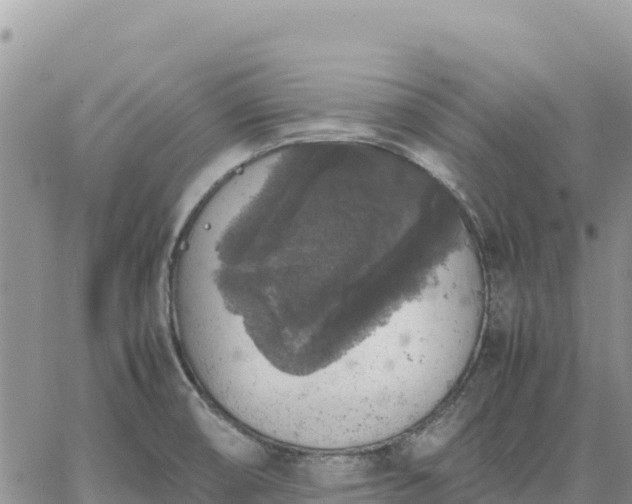 X0000064771474200602171812