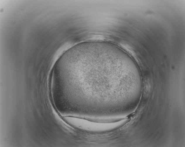 X0000064771475200602171812