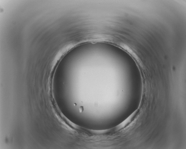 X0000064771477200602171812