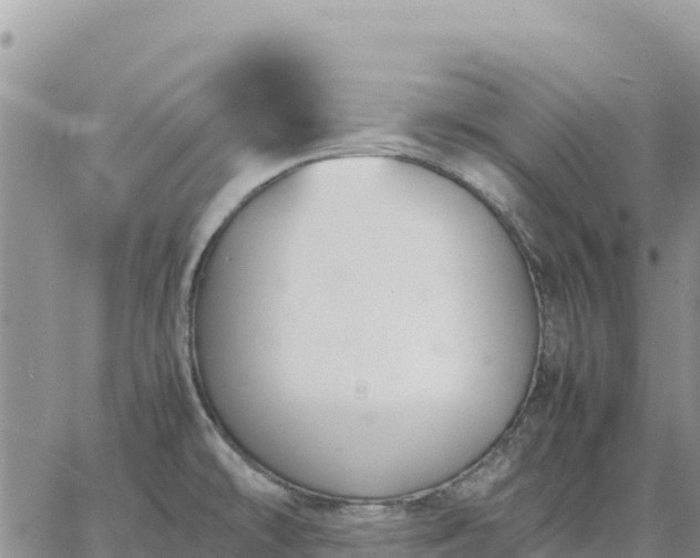 X0000064771478200602171812