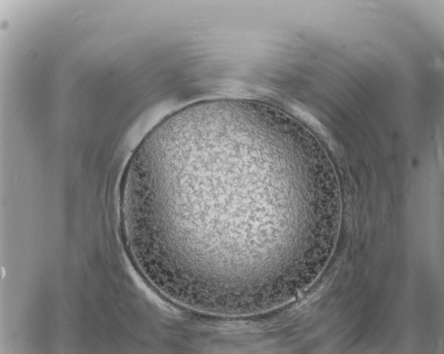 X0000064771479200602171812