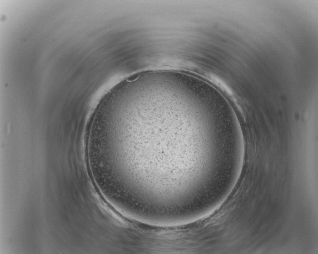 X0000064771480200602171812