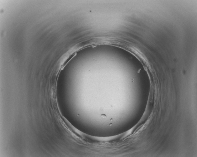 X0000064771481200602171812