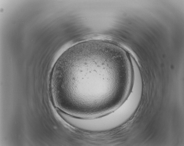 X0000064771483200602171812