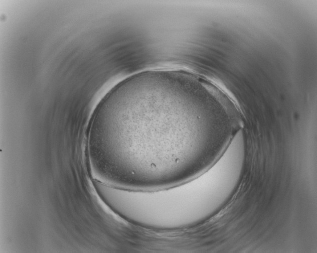 X0000064771484200602171812