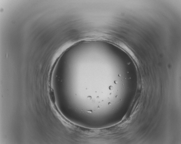 X0000064771485200602171812