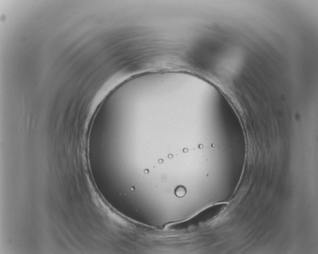 X0000064771486200602171812