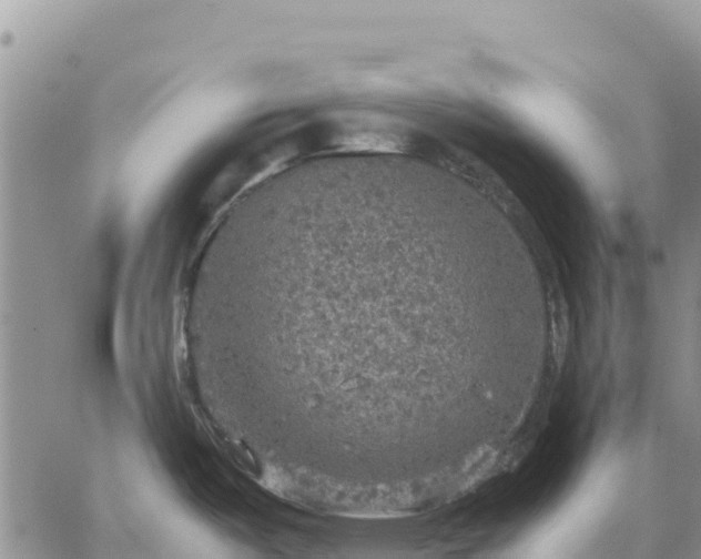 X0000064771487200602171812