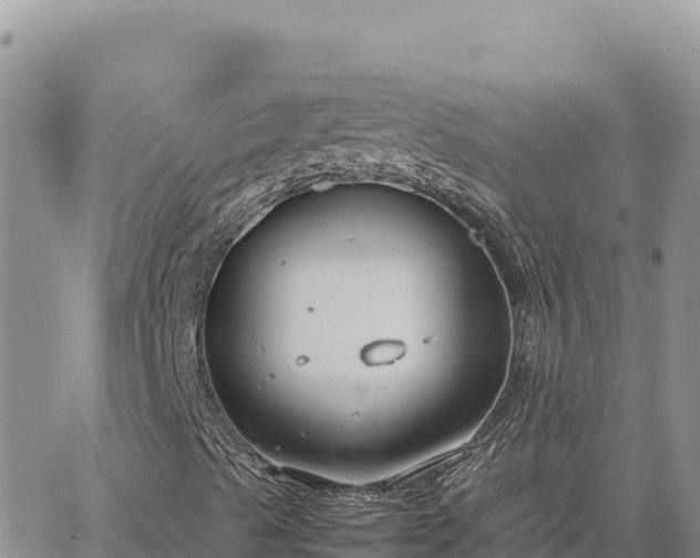 X0000064771489200602171811