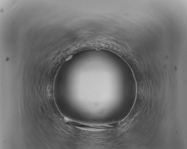 X0000064771490200602171811