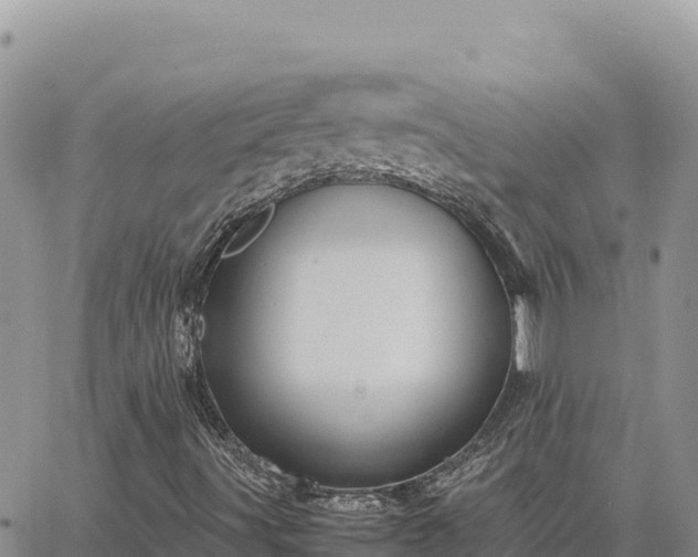 X0000064771491200602171811