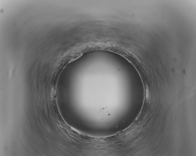 X0000064771492200602171811