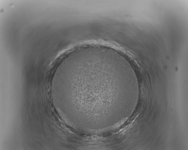 X0000064771494200602171811