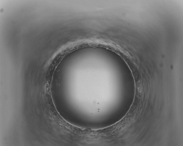 X0000064771495200602171811