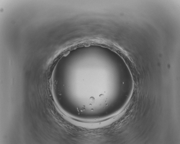 X0000064771496200602171811