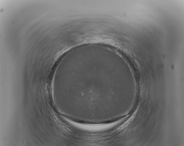 X0000064771497200602171811