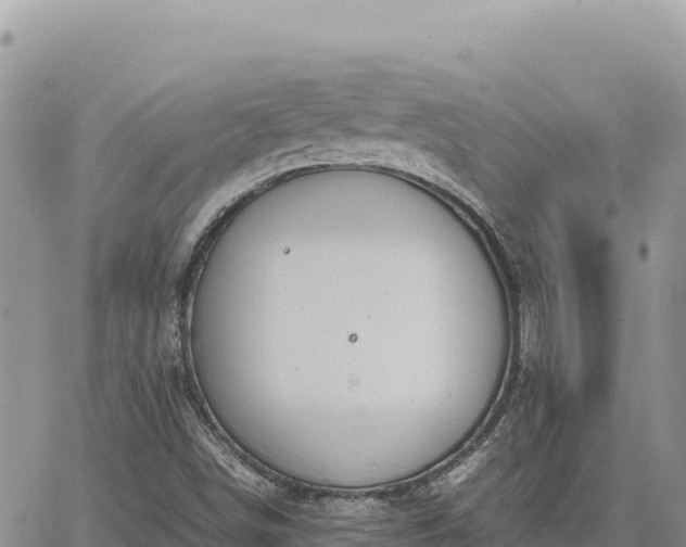 X0000064771498200602171811