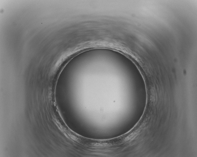 X0000064771499200602171811