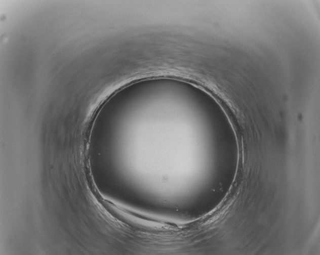 X0000064771500200602171811