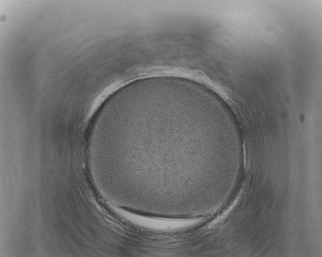 X0000064771501200602171811