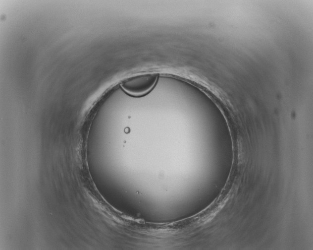 X0000064771502200602171811