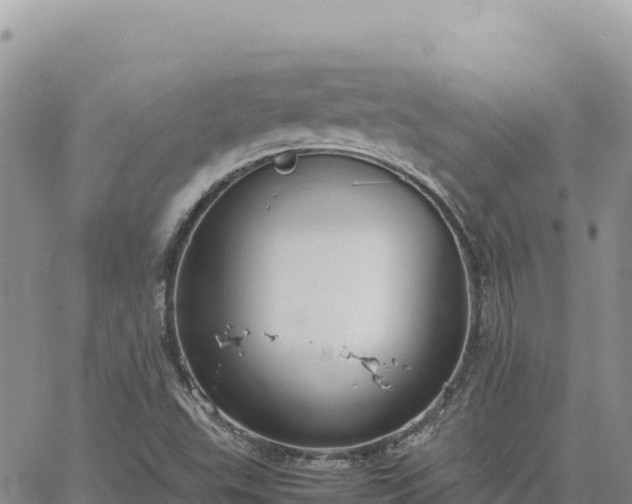 X0000064771503200602171811