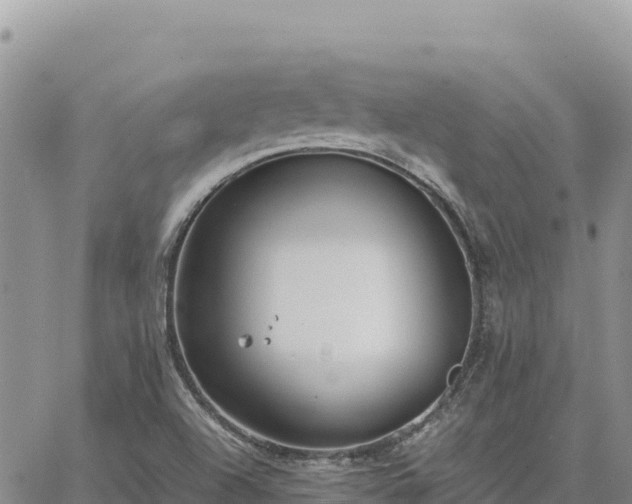 X0000064771504200602171811