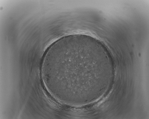 X0000064771505200602171811