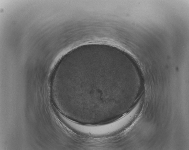 X0000064771506200602171811