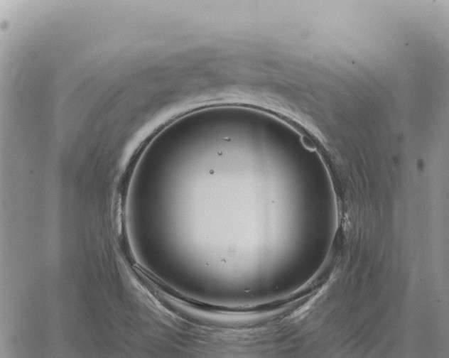 X0000064771510200602171811