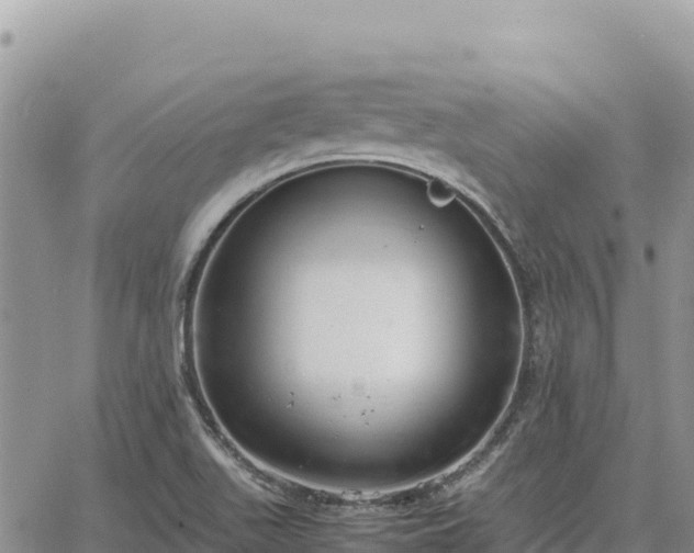 X0000064771511200602171811