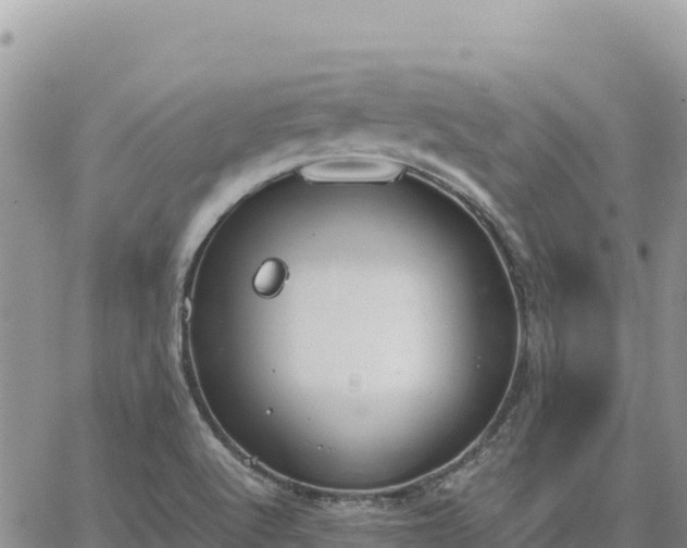 X0000064771512200602171811