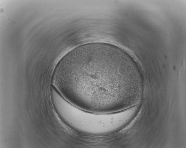 X0000064771513200602171811