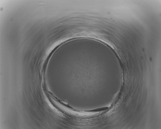 X0000064771515200602171811